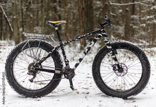 A fatbike standing in the woods in winter