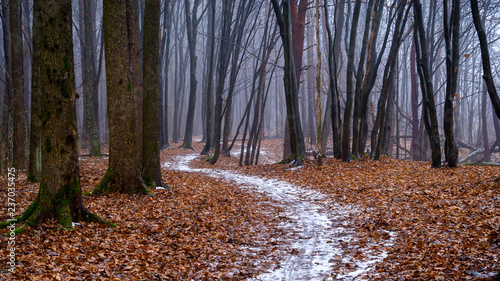 Rezerwat przyrody „Las Zwierzyniecki” – rezerwat przyrody położony na terenie miasta Białystok w województwie podlaskim. Polska
