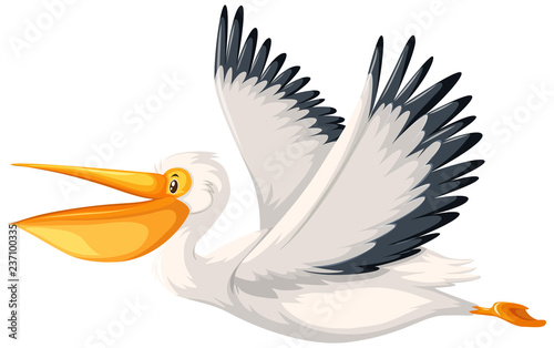 A pelican character flying