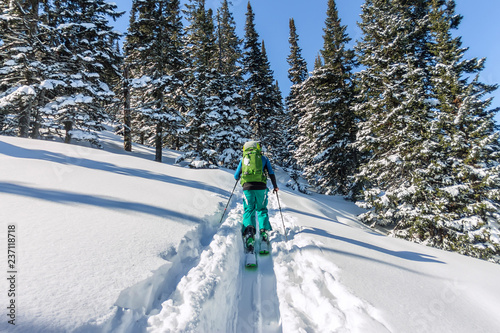 Male skier freeride skitur uphill in snow in winter forest