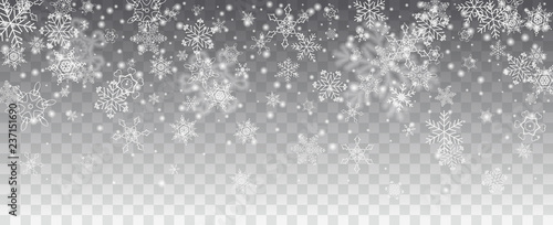 Vector snowfall, snowflakes of various shapes. Many white cold flaky elements on transparent background. White falling fly in the air.