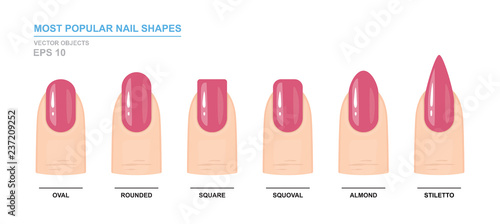 Most popular nail shapes. Different kinds of nail shapes. Manicure Guide. Vector illustration