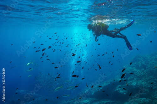 Płetwonurek na powierzchni wody spojrzeć na ławicy ryb pod wodą, Morze Śródziemne, wyspy Medes, Costa Brava, Hiszpania