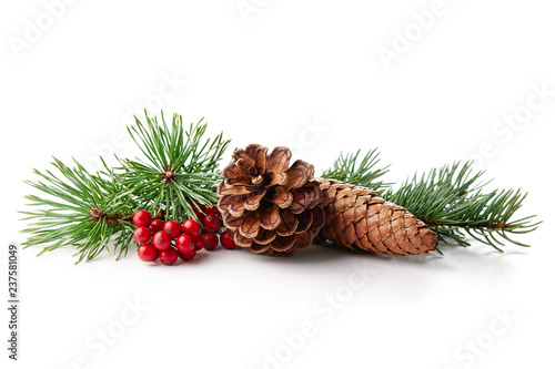 Christmas decoration of holly berry and pine cone