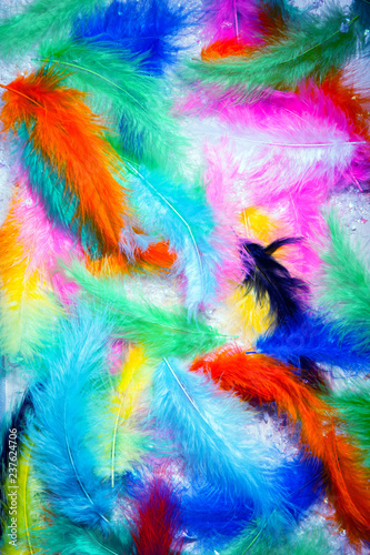 collection pen feathers birds background plumage colorful palette bright green blue white