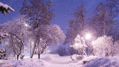 Beautiful winter night landscape of snow covered bench among snowy trees and shining lights during the snowfall. Artistic picture. Beauty world.