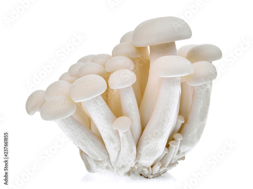 shimeji mushroom or white beech mushrooms isolated on white background