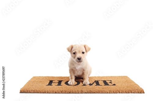 Cute little puppy standing on a door mat with written text home