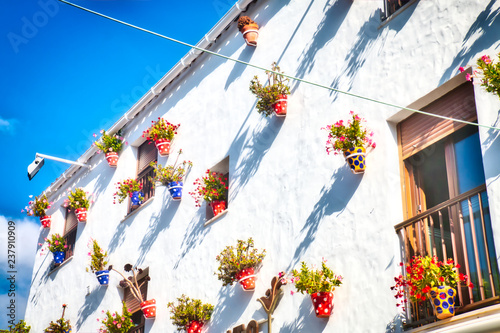 Typical Andalusian house facade, full of pots with flowers, in Conil de la Frontera, a beautiful and touristic village in the province of Cadiz, Southern Spain