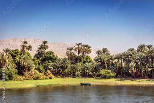 Amazing scenario at the Nile River edge with palm trees, grass and rock mountains in the background in a blue sky day