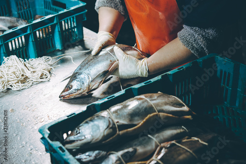 fish factory process