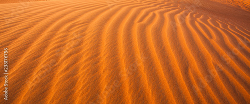 detail of sand dunes in the desert