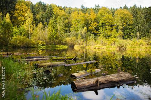 very beautiful autumn panoramas of the Carpathians Ukraine-lake, forest.