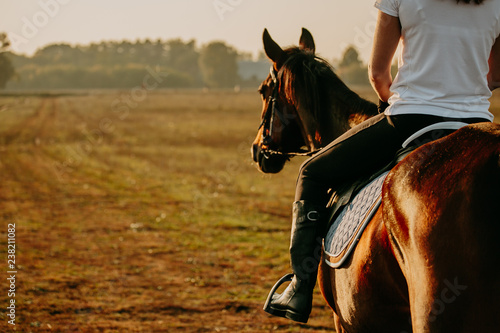 Young woman horseriding in sunset on the fields. Close up