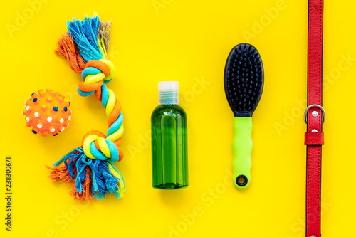 Pet care and training on yellow background top view