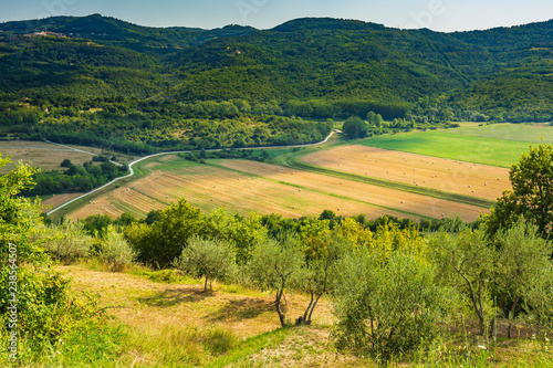 Beautiful agriculture landscape at the outback of Istria, Croatia
