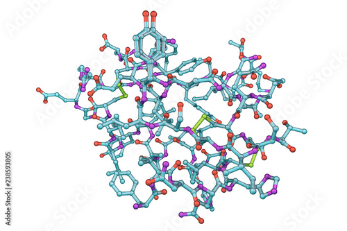 Molecular model of insulin hormone, 3D illustration. It is produced by pancreas and takes part in glucose and lipid metabolism