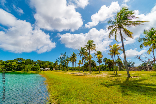 Palm and lake paradise in Snyder Park. Fort Lauderdale, Florida, USA