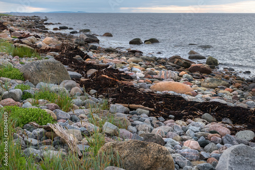 Huge stones and algae on the coastline of the Bolshoy Zayatsky Island. Solovetsky archipelago, White sea, Russia