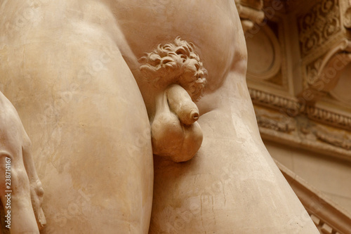 Closeup of the penis Classic statue