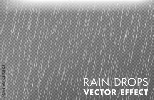 Rain drops on the transparent background - Vector effect 2