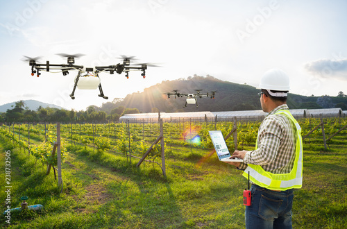 Technician farmer use wifi computer control agriculture drone fly to sprayed fertilizer on grape field, Smart farm concept