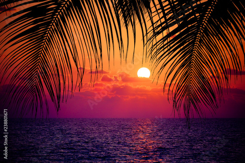 Summer tropical background. Sunset at the Ocean