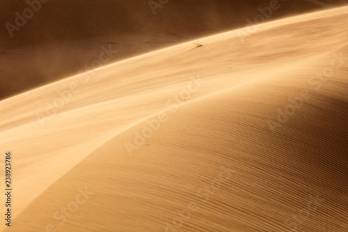 beautiful light and shadow on the dune in desert in Morocco