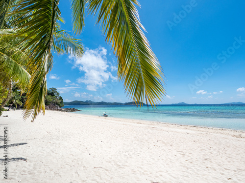 Green palm tree on a white sand beach. Malcapuya island, Coron, Philippines. November, 2018