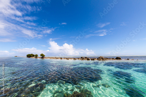 Azure turquoise blue lagoon, small uninhabited reef island motu full of dangerous rocks and some mangroves trees. Pohnpei island, Micronesia, Oceania.