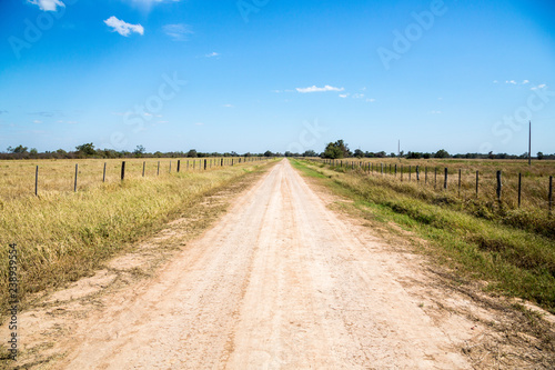 Country dirt road runs between farmlands under sunny deep blue sky on a winter day, near Filadelfia, in Deutsch mennonite colony Fernheim, Gran Chaco, Paraguay