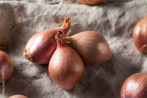 Raw Purple Organic Shallots