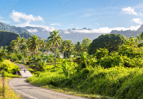 Volcanic hills, mountains, valleys, volcano mouth of beautiful green lush Ovalau island overgrown with palms, lost in jungle, covered with clouds, home of Levuka town. Fiji, Melanesia, Oceania