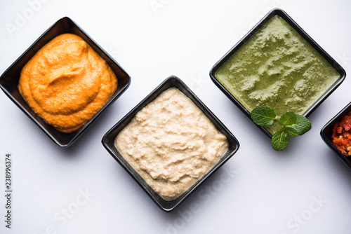 Group of Indian Chutneys includes coconut, Peanut, green and red chilly, garlic and pudina served in small square shape bowls. selective focus