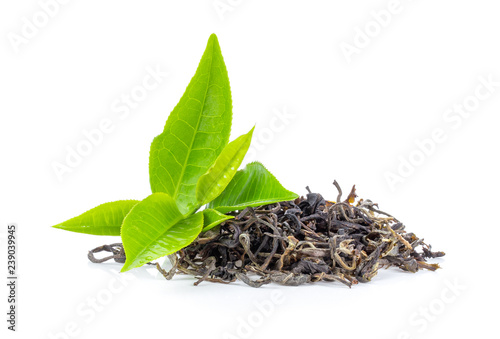 fresh green tea leaf and dry isolated on white background