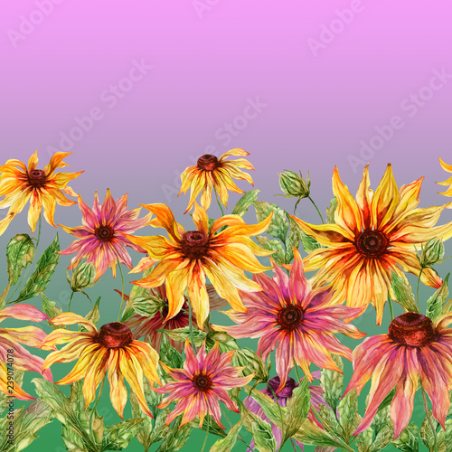 Beautiful echinacea flowers (coneflower) with green leaves on pink background. Seamless floral pattern. Watercolor painting. Hand painted illustration.