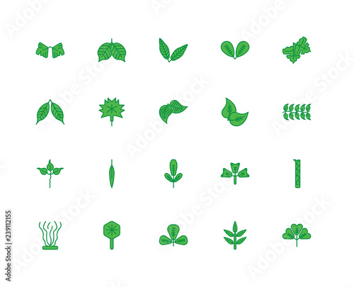 Set Of 20 icons such as Trifoliate Ternate, Subulate, Obovate, O
