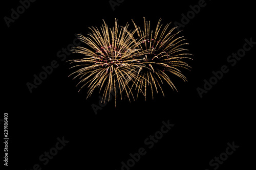 New Years Eve fireworks, such as two wonderful bouquets of flowers
