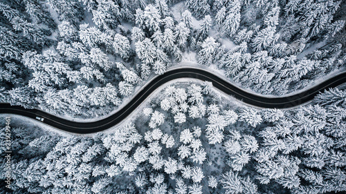 Driving in forest after snowfall, aerial drone view