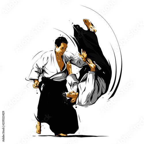 aikido action 3