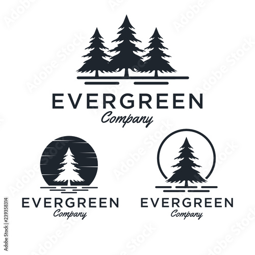 Evergreen / Pine tree Logo design inspiration - Vector