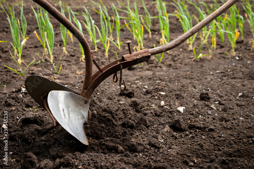 Hand plow on the field. Plowing the ground before sowing. Close-up.