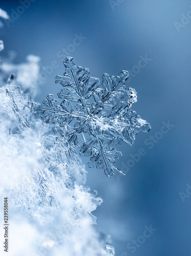 snowflake on snow, snow