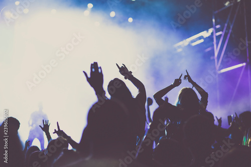 cheering crowd with raised hands at concert - music festival