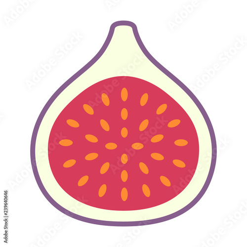 Common fig fruit cross section with seeds flat vector color icon for food apps and websites