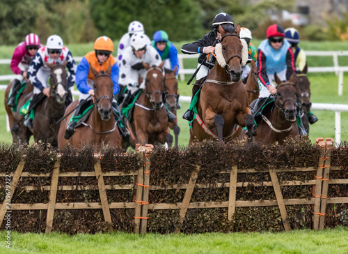 Race horses jumping hurdle