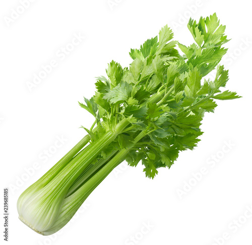 Green celery isolated on white background