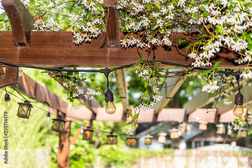 Closeup of patio outdoor spring white flower garden in backyard porch of home, lamps light bulbs, zen with pergola canopy wooden roof gazebo, plants