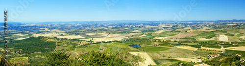 Panorama View of vineyard and green field. Montalcino countryside, Tuscany, Italy