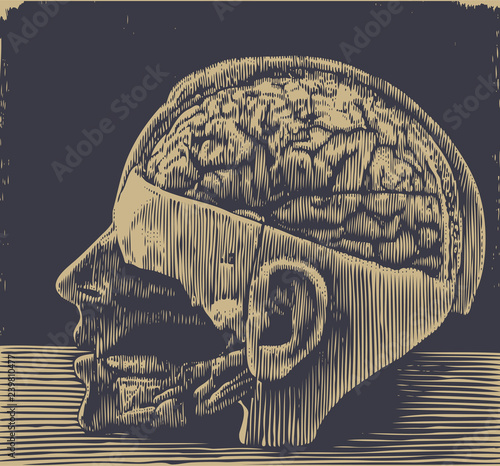 brain, medical visual aids. halftone design element. vector illustration.
